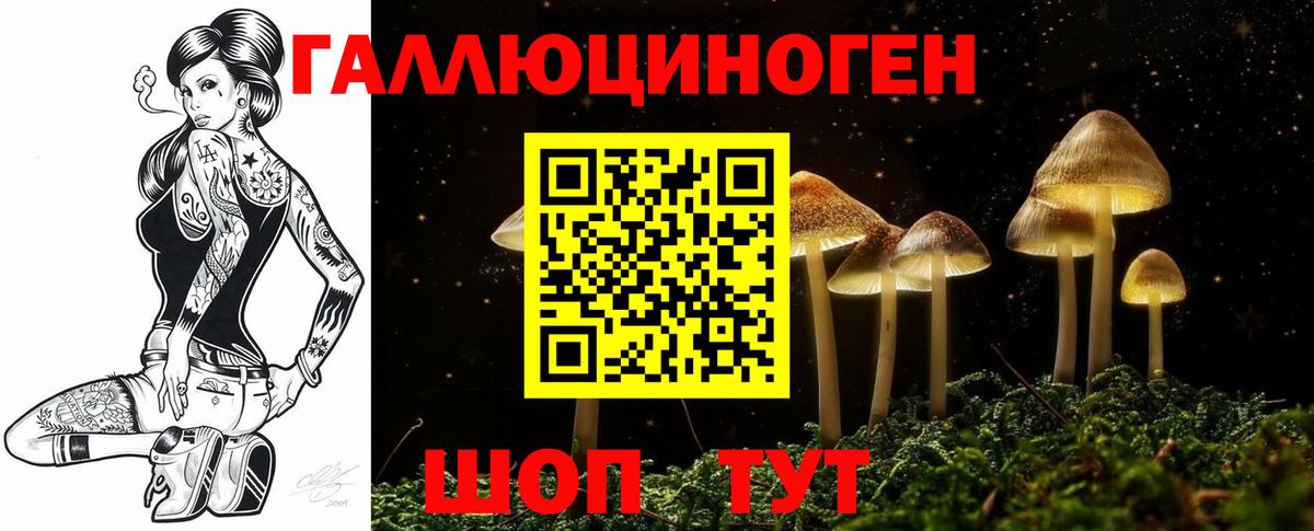 Галлюциногенные грибы прущие грибы Майкоп