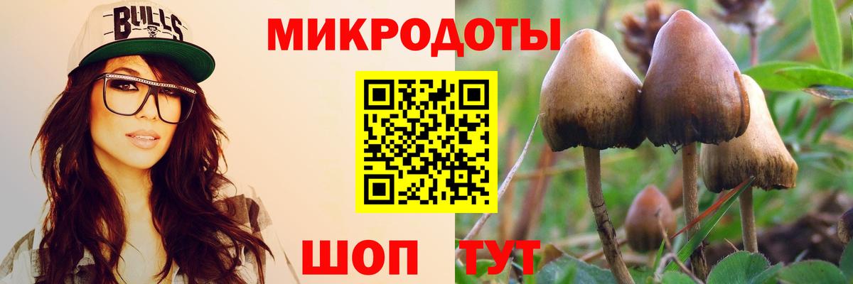 Псилоцибиновые грибы ЛСД  наркошоп  Майкоп  Вход с VPN 